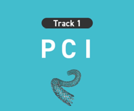 PCI