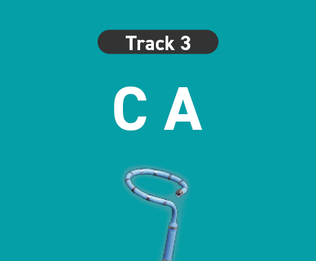 CA